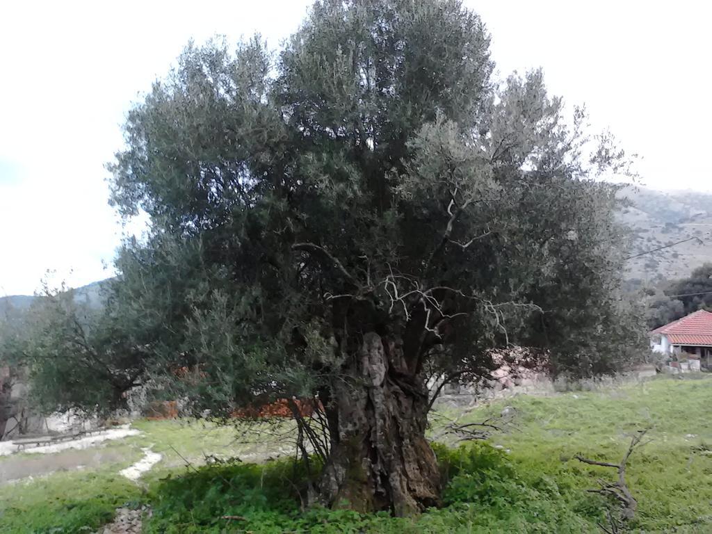 Evangelia Agia Efimia Bagian luar foto