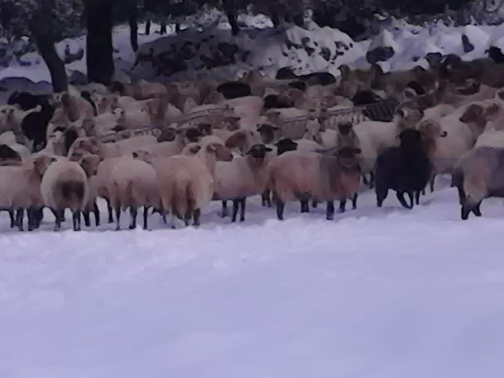 Evangelia Agia Efimia Bagian luar foto